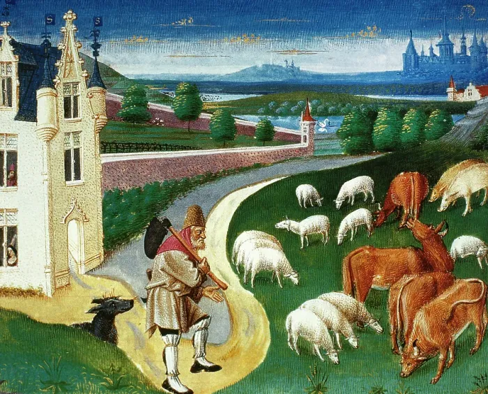 Framed Print : Shepherd leading his flock, miniature, Conde Museum, Chateau of Chantilly, France, 15th cent (1992). Creator: Unknown Framed Print : Shepherd leading his flock, miniature, Conde Museum, Chateau of Chantilly, France, 15th cent (1992). Creator: Unknown