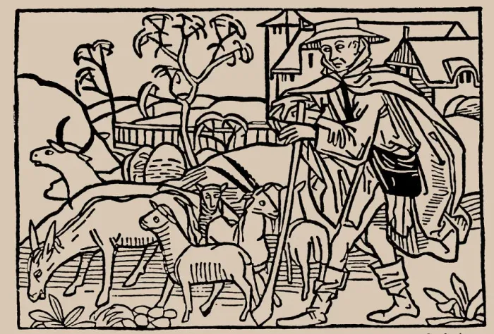 Framed Print : Shepherd. From Speculum Vitae Humanae by Rodericus Zamorensis, 1479. Creator: Anonymous Framed Print : Shepherd. From Speculum Vitae Humanae by Rodericus Zamorensis, 1479. Creator: Anonymous
