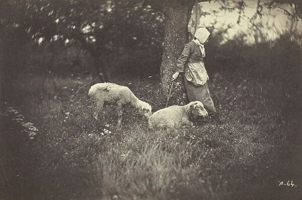 Shepherdess Leaning Against a Tree, with Two Sheep, 1870. Creator: Giraudons Artist
