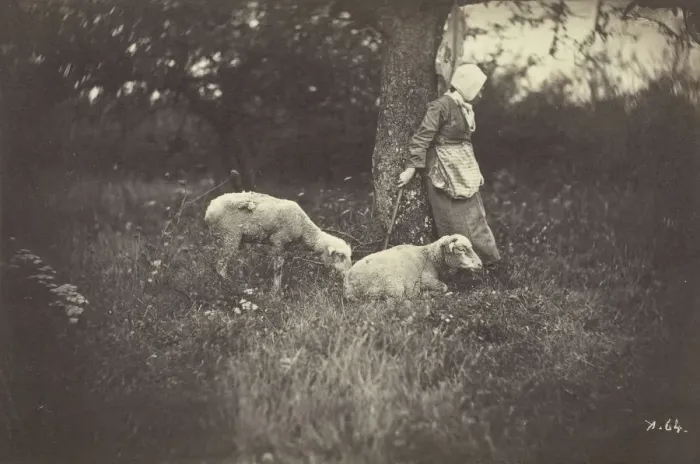 Framed Print : Shepherdess Leaning Against a Tree, with Two Sheep, 1870. Creator: Giraudons Artist Framed Print : Shepherdess Leaning Against a Tree, with Two Sheep, 1870. Creator: Giraudons Artist