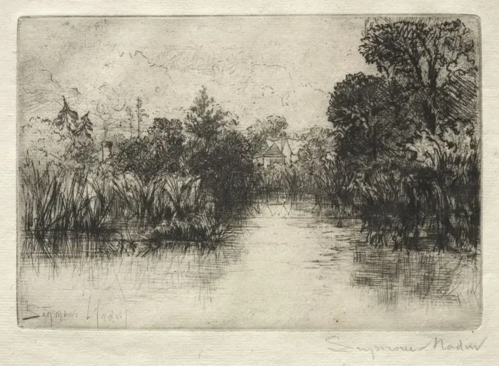 Framed Print : Shere Mill Pond (A Small Study). Creator: Francis Seymour Haden (British, 1818-1910) Framed Print : Shere Mill Pond (A Small Study). Creator: Francis Seymour Haden (British, 1818-1910)