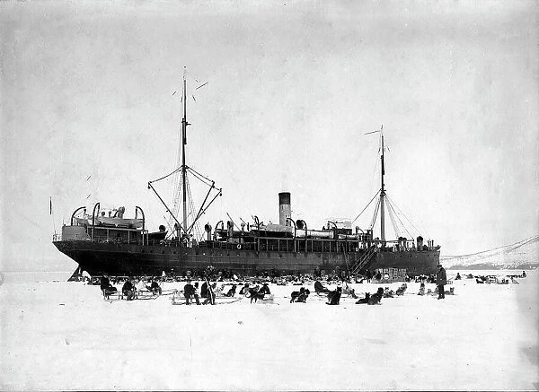 A ship in the ice of Avacha Bay; On the ice there are dog sleds to unload the ship, 1910-1929. Creator: Ivan Emelianovich Larin