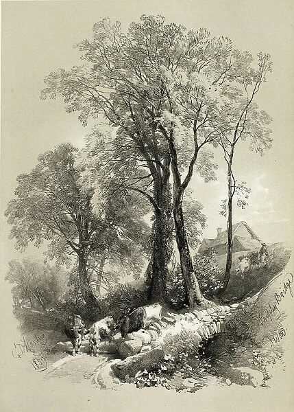 Shipley Bridge, Devon, from Picturesque Selections, 1859. Creator: James Duffield Harding