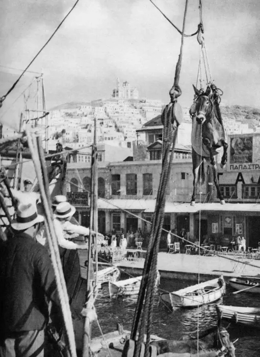 Framed Print : The shipping of mules, Syros Island, Greece, 1937. Artist: Martin Hurlimann Framed Print : The shipping of mules, Syros Island, Greece, 1937. Artist: Martin Hurlimann
