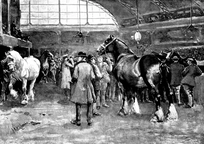 Framed Print : The Shire Horse Show at Islington: preparing for the parade, 1895. Creator: George Meisenbach Framed Print : The Shire Horse Show at Islington: preparing for the parade, 1895. Creator: George Meisenbach