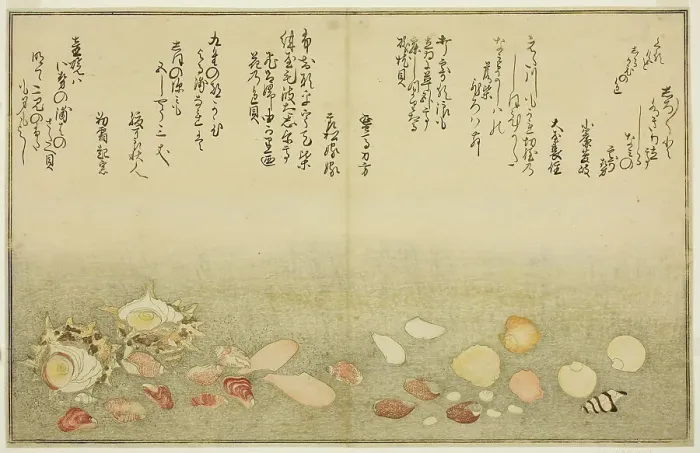 Framed Print : Shiro-gai, namima-gashiwa, makura-gai, iro-gai, aza-gai, sadae-gai, from the illustrated b... 1789. Creator: Kitagawa Utamaro Framed Print : Shiro-gai, namima-gashiwa, makura-gai, iro-gai, aza-gai, sadae-gai, from the illustrated b... 1789. Creator: Kitagawa Utamaro
