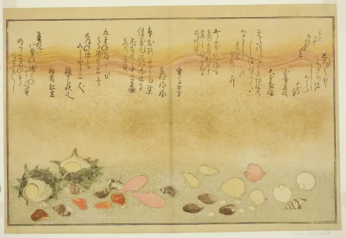 Framed Print : Shiro-gai, namima-gashiwa, makura-gai, iro-gai, aza-gai, sadae-gai, from the illustrated b... 1789. Creator: Kitagawa Utamaro Framed Print : Shiro-gai, namima-gashiwa, makura-gai, iro-gai, aza-gai, sadae-gai, from the illustrated b... 1789. Creator: Kitagawa Utamaro