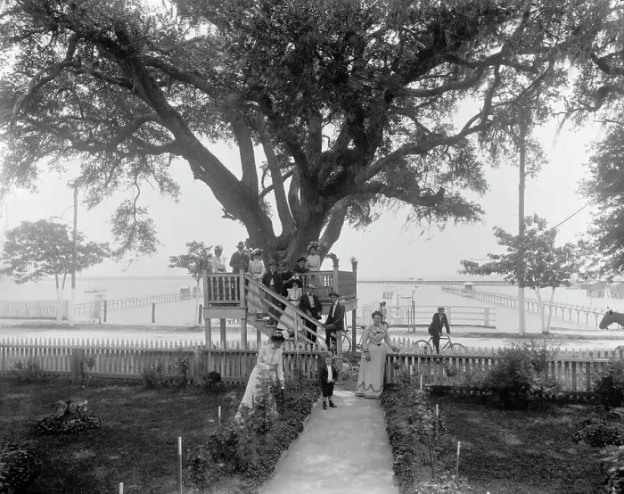 Framed Print : Shoo-fly at Madame Boyle's, Bay St. Louis, Miss. between 1900 and 1906. Creator: Unknown Framed Print : Shoo-fly at Madame Boyle's, Bay St. Louis, Miss. between 1900 and 1906. Creator: Unknown