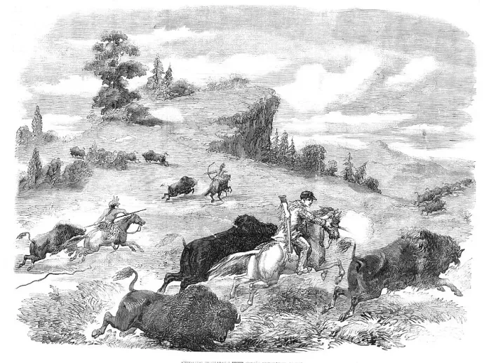 Framed Print : Shooting Buffaloes with Colt's Revolving Pistol, 1857. Creator: Unknown Framed Print : Shooting Buffaloes with Colt's Revolving Pistol, 1857. Creator: Unknown