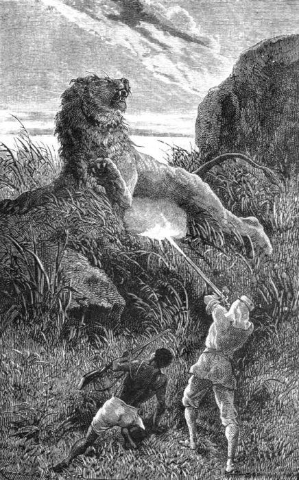Framed Print : Shooting a Lion; Life in a South African Colony, 1875. Creator: Unknown Framed Print : Shooting a Lion; Life in a South African Colony, 1875. Creator: Unknown