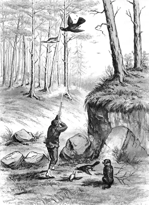 Framed Print : Shooting pheasants, 1883. Creator: H. Parsons Framed Print : Shooting pheasants, 1883. Creator: H. Parsons