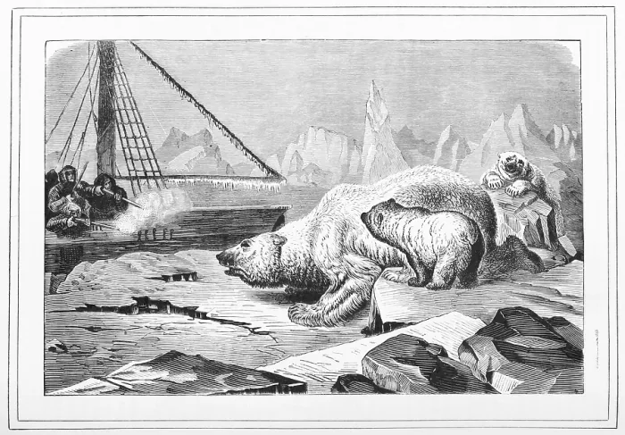 Framed Print : Shooting polar bears, 1880. Creator: Unknown Framed Print : Shooting polar bears, 1880. Creator: Unknown