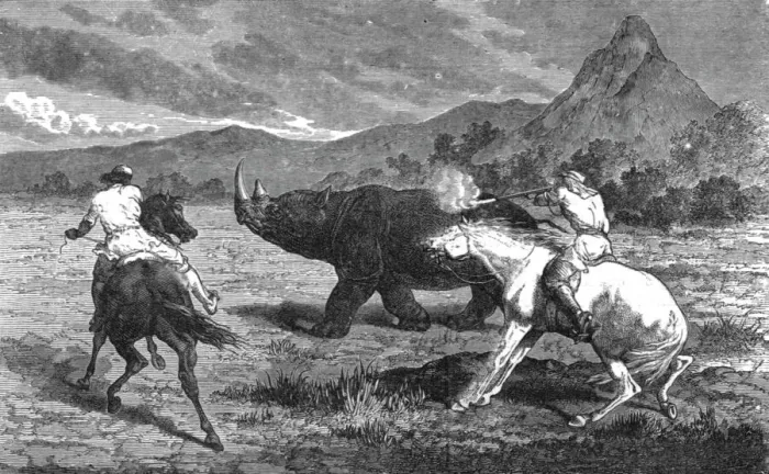 Framed Print : Shooting Rhinoceros; Life in a South African Colony, 1875. Creator: Unknown Framed Print : Shooting Rhinoceros; Life in a South African Colony, 1875. Creator: Unknown