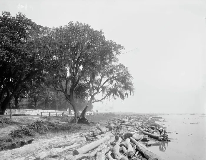 Framed Print : Shore at Frascati, Mobile, Ala. The, (ca 1900?). Creator: Unknown Framed Print : Shore at Frascati, Mobile, Ala. The, (ca 1900?). Creator: Unknown