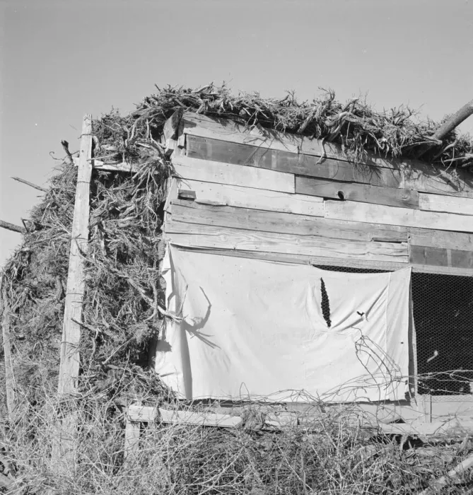 Framed Print : Shows construction of chicken house, sage bush thatched, Dead Ox Flat, Malheur County, Oregon, 1939. Creator: Dorothea Lange Framed Print : Shows construction of chicken house, sage bush thatched, Dead Ox Flat, Malheur County, Oregon, 1939. Creator: Dorothea Lange