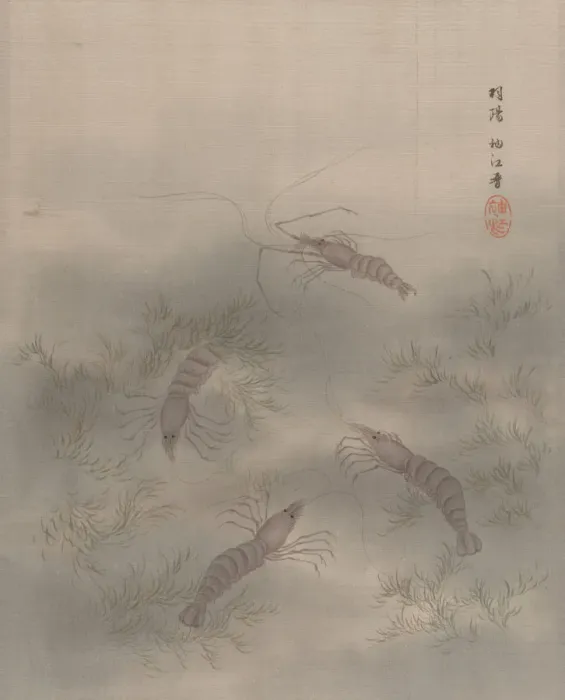 Framed Print : Shrimp (Ebi), ca. 1890-92. Creator: Seki Shuko Framed Print : Shrimp (Ebi), ca. 1890-92. Creator: Seki Shuko