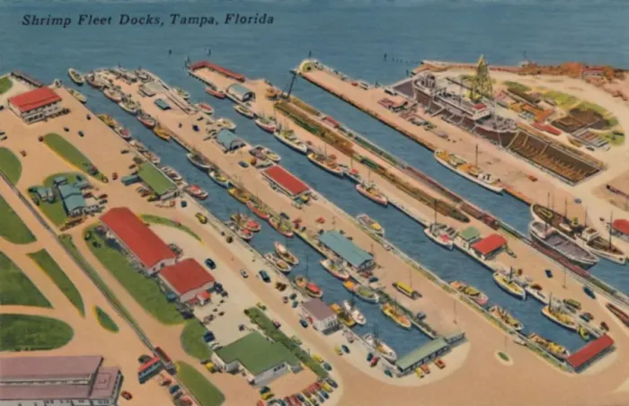 Framed Print : Shrimp Fleet Docks, Tampa, Florida, 1940s Framed Print : Shrimp Fleet Docks, Tampa, Florida, 1940s