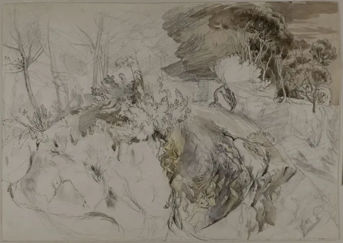 Framed Print : Shrubs and Trees in Rocky Landscape, c. 1845. Creator: John Ruskin Framed Print : Shrubs and Trees in Rocky Landscape, c. 1845. Creator: John Ruskin