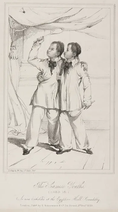 Framed Print : The Siamese Youths...at the Egyptian Hall, Piccadilly, 1829. Creator: William Day. The Siamese Youths...at the Egyptian Hall, Piccadilly, 1829. Creator: William Day Framed Print : The Siamese Youths...at the Egyptian Hall, Piccadilly, 1829. Creator: William Day. The Siamese Youths...at the Egyptian Hall, Piccadilly, 1829. Creator: William Day