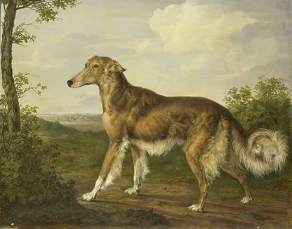 Siberian Greyhound, c.1825. Creator: Jan Dasveldt