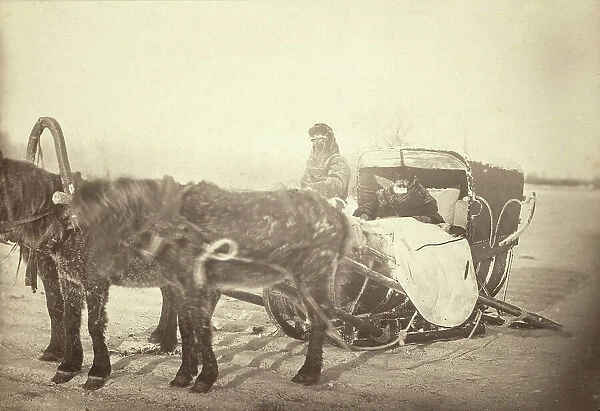 A Siberian posting sledge on a cold morning, between 1885 and 1886. Creator: George Albert Frost