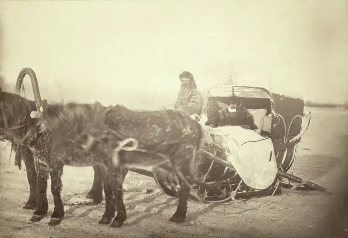 Framed Print : A Siberian posting sledge on a cold morning, between 1885 and 1886. Creator: George Albert Frost Framed Print : A Siberian posting sledge on a cold morning, between 1885 and 1886. Creator: George Albert Frost