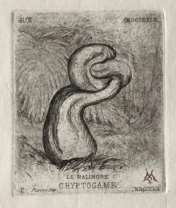 Framed Print : The Sickly Cryptogam, 1860. Creator: Charles Meryon (French, 1821-1868) Framed Print : The Sickly Cryptogam, 1860. Creator: Charles Meryon (French, 1821-1868)