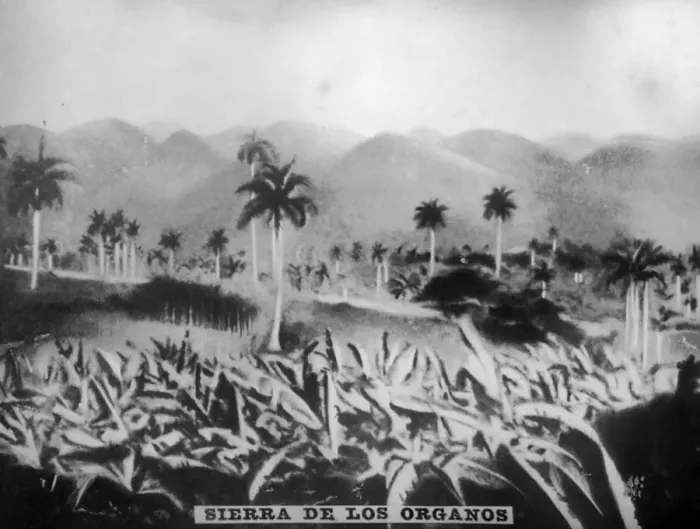 Framed Print : Sierra de los Organos, (1896), 1920s Framed Print : Sierra de los Organos, (1896), 1920s