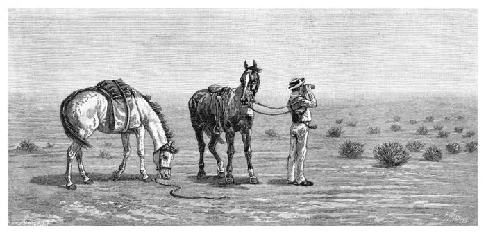 Framed Print : Nothing in Sight, 1886. Artist: Frank P Mahony Framed Print : Nothing in Sight, 1886. Artist: Frank P Mahony
