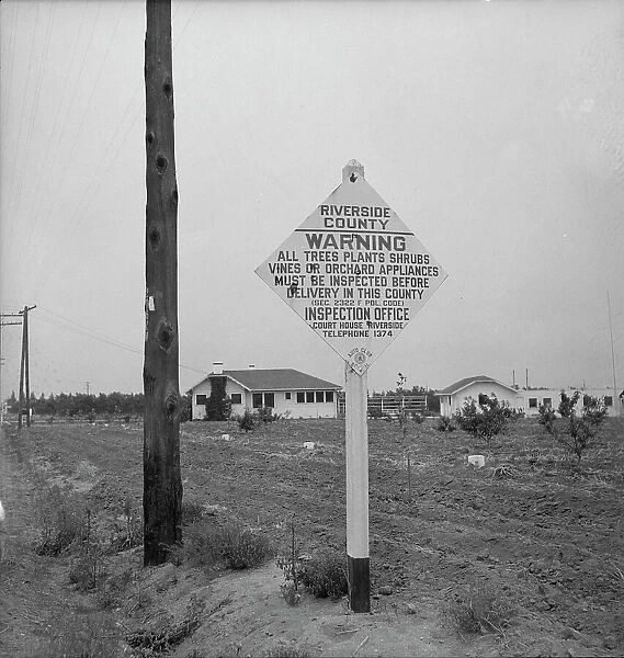Sign on road entering California where there is now plant quarantine inspection, 1937. Creator: Dorothea Lange