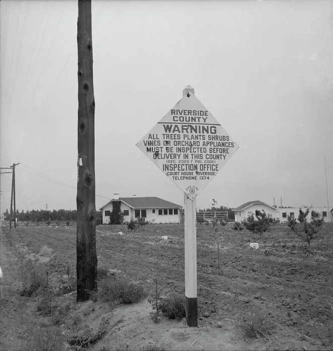 Framed Print : Sign on road entering California where there is now plant quarantine inspection, 1937. Creator: Dorothea Lange Framed Print : Sign on road entering California where there is now plant quarantine inspection, 1937. Creator: Dorothea Lange