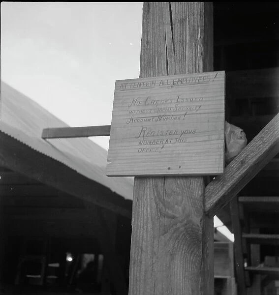 Sign at a tomato packing shed for migrant and local labor, Hazelhurst, Mississippi, 1937. Creator: Dorothea Lange