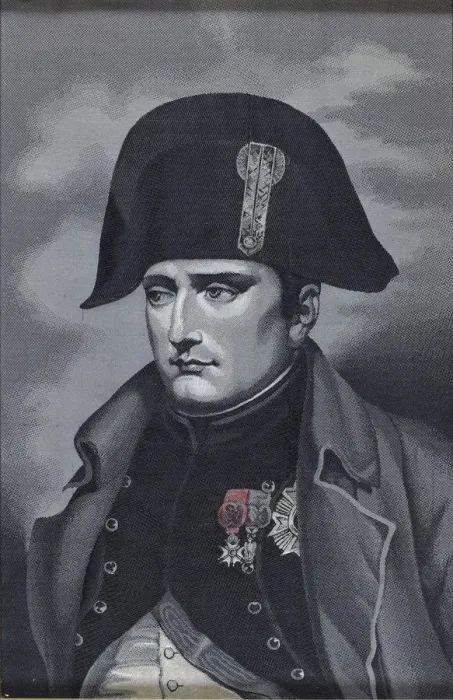 Framed Print : Silk Weaving Portrait of Emperor Napoleon I Bonaparte (1769-1821). Artist: Anonymous Framed Print : Silk Weaving Portrait of Emperor Napoleon I Bonaparte (1769-1821). Artist: Anonymous