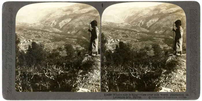 Framed Print : A silkworm plantation in the Lebanon mountains, Syria, 1900s. Artist: Underwood & Underwood Framed Print : A silkworm plantation in the Lebanon mountains, Syria, 1900s. Artist: Underwood & Underwood