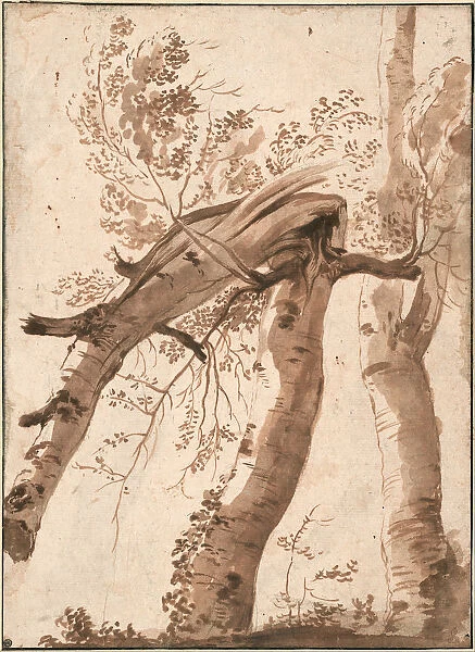 Two Silver Birches, the Front One Fallen, c. 1629. Artist: Poussin, Nicolas (1594-1665)