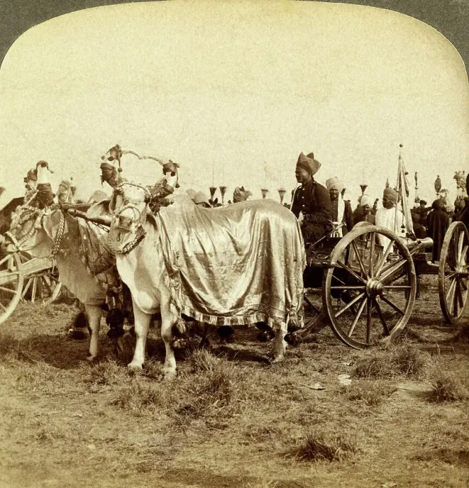 Framed Print : Silver cannon of the Maharaja of Baroda, Delhi, India. Artist: Underwood & Underwood Framed Print : Silver cannon of the Maharaja of Baroda, Delhi, India. Artist: Underwood & Underwood