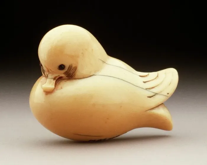 Framed Print : Simplified Mandarin Duck, 19th century. Creator: Unknown Framed Print : Simplified Mandarin Duck, 19th century. Creator: Unknown