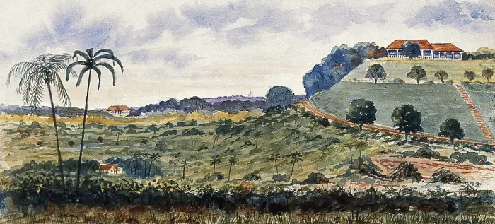 Framed Print : Singapore: a hill known as Mount Echo, 1879. Creator: John Edmund Taylor Framed Print : Singapore: a hill known as Mount Echo, 1879. Creator: John Edmund Taylor