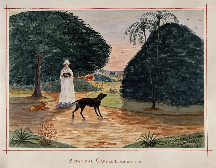 Framed Print : Singapore: a person with dogs in the Botanical Gardens, 1879. Creator: John Edmund Taylor Framed Print : Singapore: a person with dogs in the Botanical Gardens, 1879. Creator: John Edmund Taylor