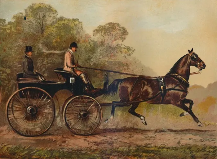 Framed Print : Single Harness Phaeton Horse Columbine. Property of Charles Baynes Esq Framed Print : Single Harness Phaeton Horse Columbine. Property of Charles Baynes Esq