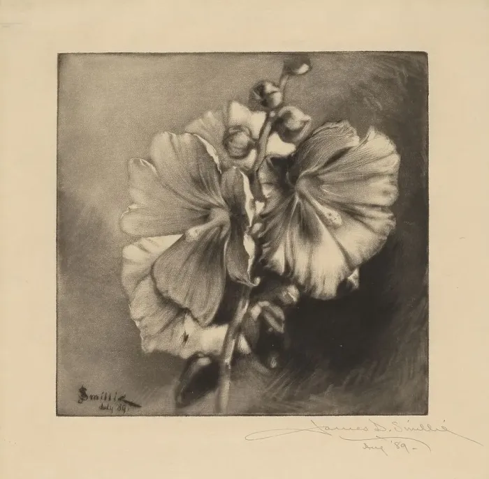 Framed Print : Single Hollyhocks, 1889. Creator: James David Smillie Framed Print : Single Hollyhocks, 1889. Creator: James David Smillie