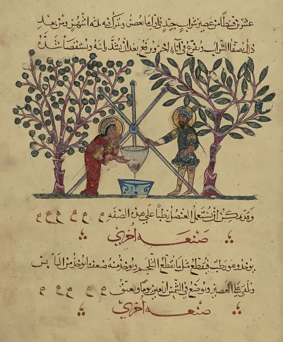 Framed Print : Single Leaf from the Arabic Version of Dioscorides De materia medica, Rajab 621 AH / AD 1224. Creator: Unknown Framed Print : Single Leaf from the Arabic Version of Dioscorides De materia medica, Rajab 621 AH / AD 1224. Creator: Unknown