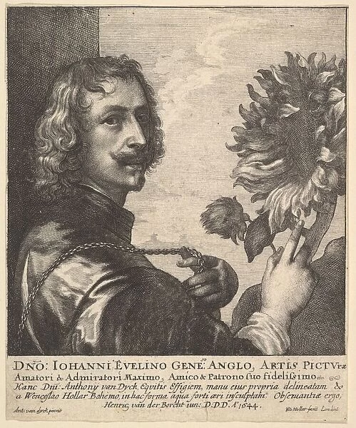 Sir Anthony van Dyck with a sunflower, 1644. Creator: Wenceslaus Hollar