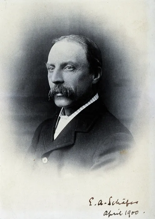 Framed Print : Sir Edward Albert Sharpey-Schafer, 1900. Creator: Unknown Framed Print : Sir Edward Albert Sharpey-Schafer, 1900. Creator: Unknown