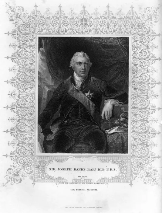 Framed Print : Sir Joseph Banks (1743-1820), English naturalist, botanist and science patron, 19th century. Artist: H Robinson Framed Print : Sir Joseph Banks (1743-1820), English naturalist, botanist and science patron, 19th century. Artist: H Robinson