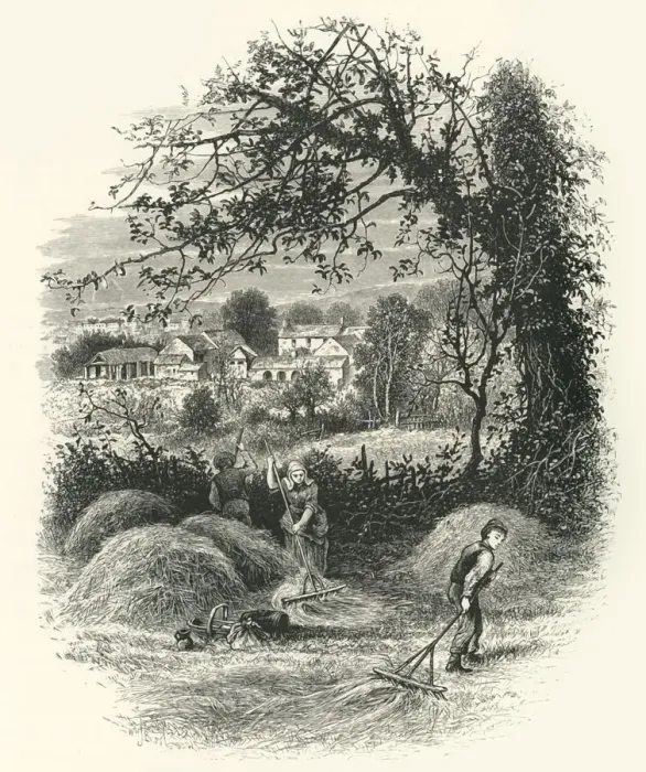 Framed Print : Sir Richard Steeles House, near Caermarthen (The White House), c1870 Framed Print : Sir Richard Steeles House, near Caermarthen (The White House), c1870