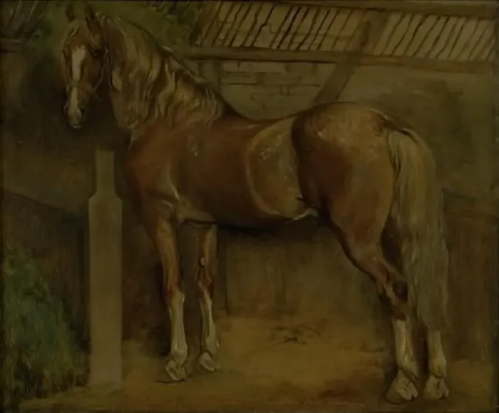 Framed Print : Sixteen-year-old stallion of the Knabstrup breed, 1847. Creator: Johan Thomas Lundbye Framed Print : Sixteen-year-old stallion of the Knabstrup breed, 1847. Creator: Johan Thomas Lundbye