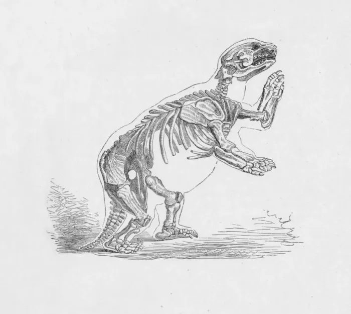 Framed Print : Skeleton of the Mylodon Darwinii, c1885, (1890). Artist: Robert Taylor Pritchett Framed Print : Skeleton of the Mylodon Darwinii, c1885, (1890). Artist: Robert Taylor Pritchett