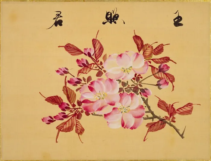 Framed Print : From the Sketch Book of Sakura (Cherry Blossoms), Between 1830 and 1853. Creator: Sakamoto, Konen (1800-1853) Framed Print : From the Sketch Book of Sakura (Cherry Blossoms), Between 1830 and 1853. Creator: Sakamoto, Konen (1800-1853)