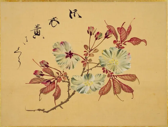 Framed Print : From the Sketch Book of Sakura (Cherry Blossoms), Between 1830 and 1853. Creator: Sakamoto, Konen (1800-1853) Framed Print : From the Sketch Book of Sakura (Cherry Blossoms), Between 1830 and 1853. Creator: Sakamoto, Konen (1800-1853)